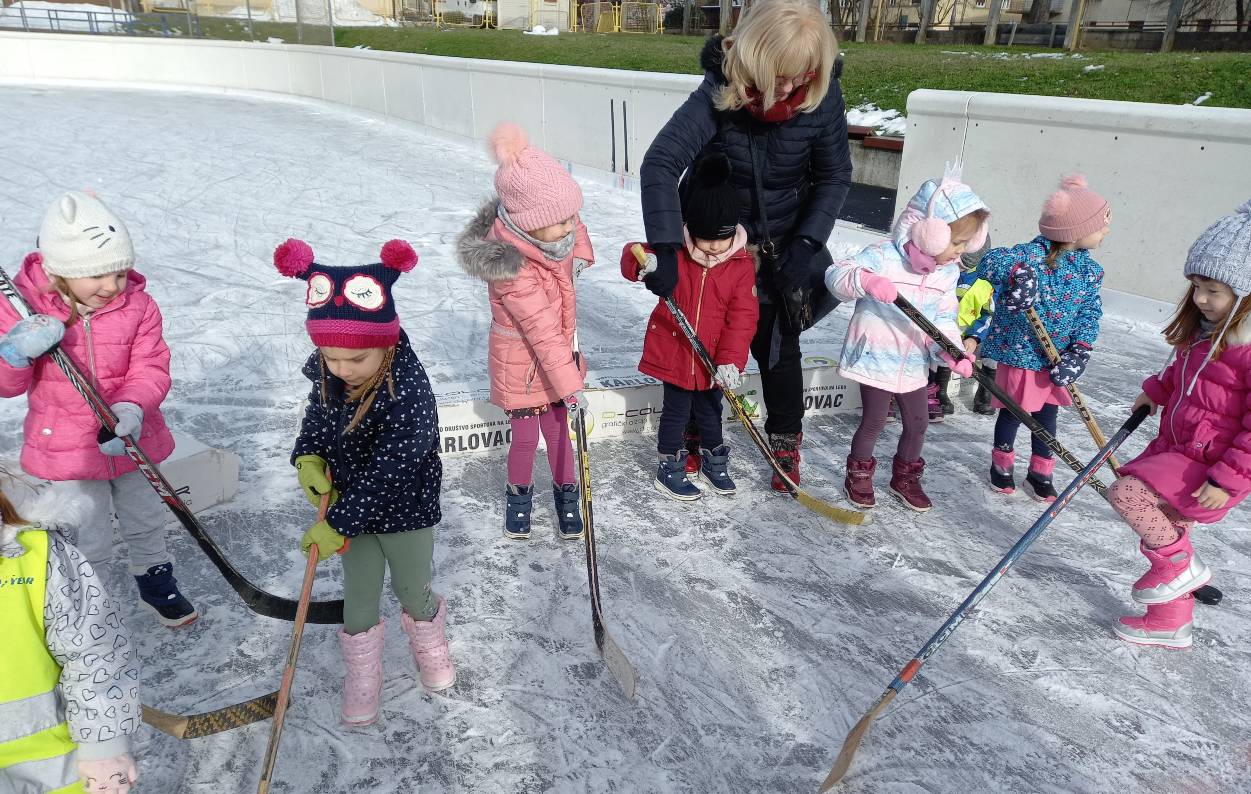 Hokej na ledu6 obrađeno