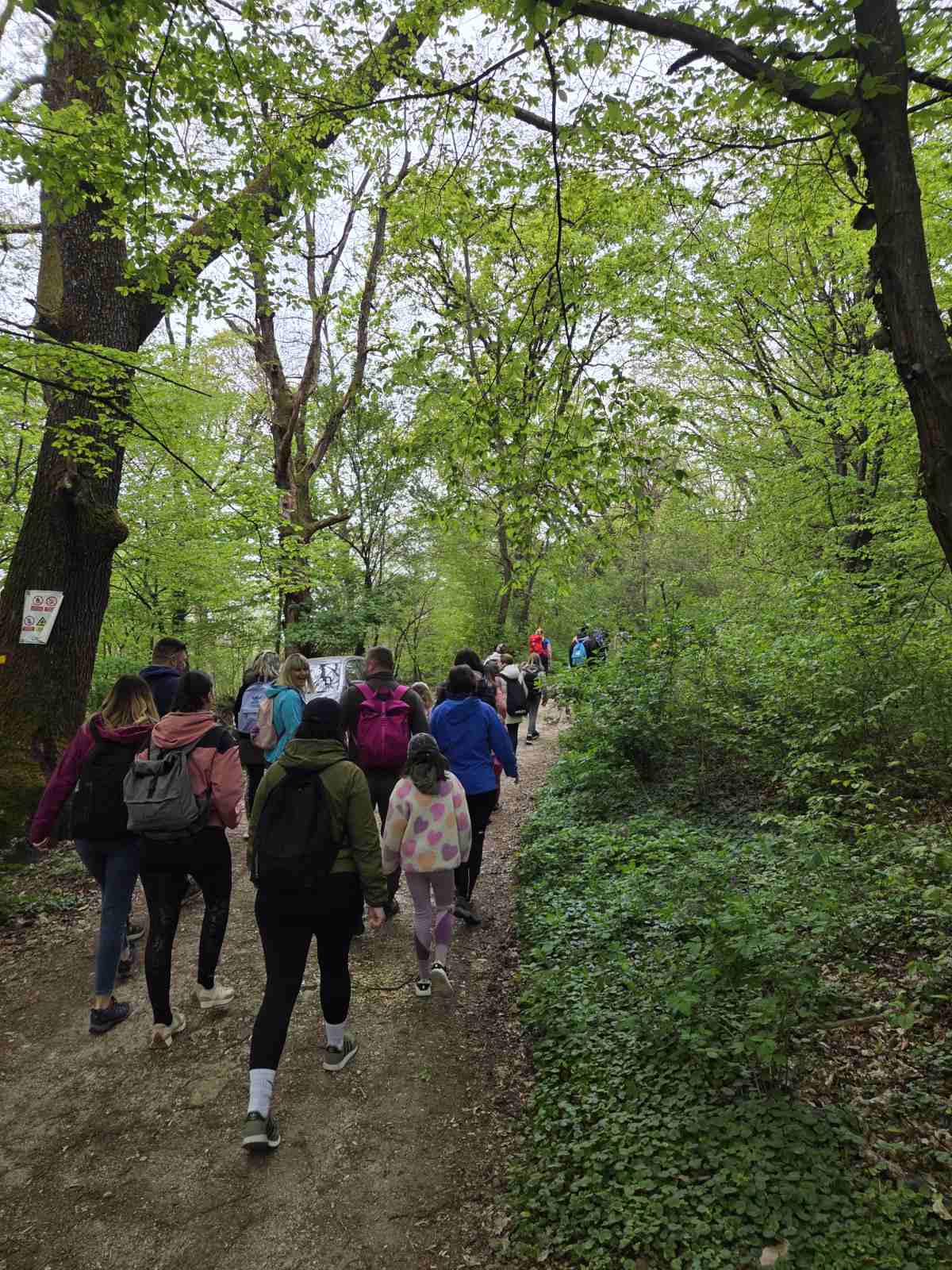 IMG 29c363fa2fcdc4fd4b8949203913d273 V