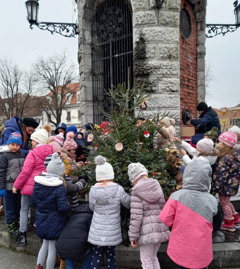 jelka trg2 obrađeno