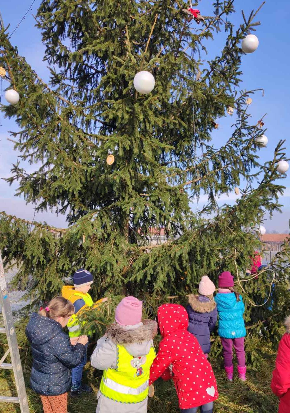 jelka turanj obrađeno